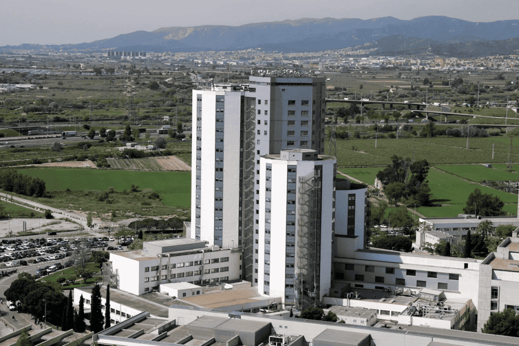 Hospital Bellvitge Curso Anual